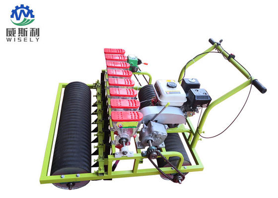 चीन गैसोलीन इंजन 8 पंक्तियाँ ग्रीन सलाद प्लांटर मशीनें कृषि में उपयोग की जाती हैं आपूर्तिकर्ता